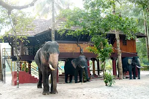 Elephant Courtyard- A Heritage Homestay image