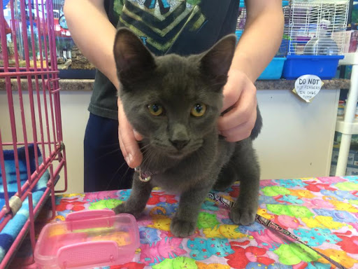 Pet Store «Pets of Portage», reviews and photos, 2219 W Wisconsin St, Portage, WI 53901, USA