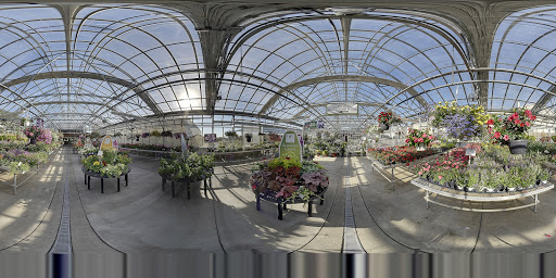 Florist «Dundalk Florist», reviews and photos, 7233 German Hill Rd, Dundalk, MD 21222, USA