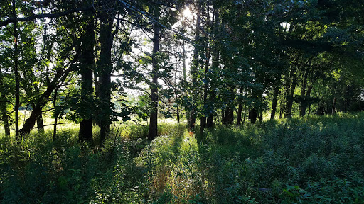 Golf Club «Bunker Hills Golf Club», reviews and photos, 12800 Bunker Prairie Rd NW, Coon Rapids, MN 55448, USA