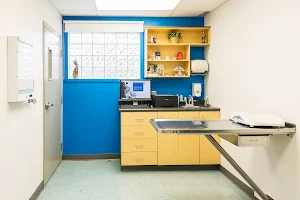 Globalvet - Veterinary Clinic Lévis image