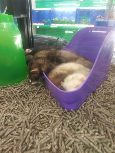 Pet Supply Store «Pet Supplies Plus», reviews and photos, 30450 Lakeshore Blvd, Willowick, OH 44095, USA