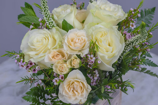 Dolce Blooms image