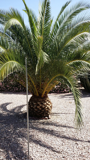 Country Club «Fountain of the Sun Country Club», reviews and photos, 500 S 80th St, Mesa, AZ 85208, USA