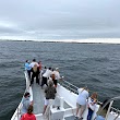 Jersey Shore Whale Watching Tours