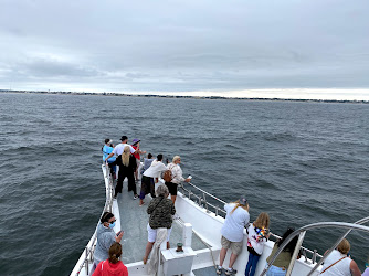 Jersey Shore Whale Watching Tours