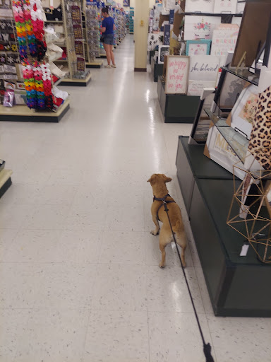 Craft Store «Hobby Lobby», reviews and photos, 539 IL-59, Aurora, IL 60504, USA