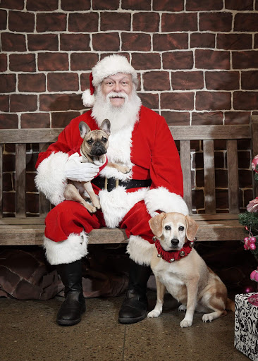 Animal Shelter «One of A Kind Pet Rescue», reviews and photos, 1929 W Market St, Akron, OH 44313, USA