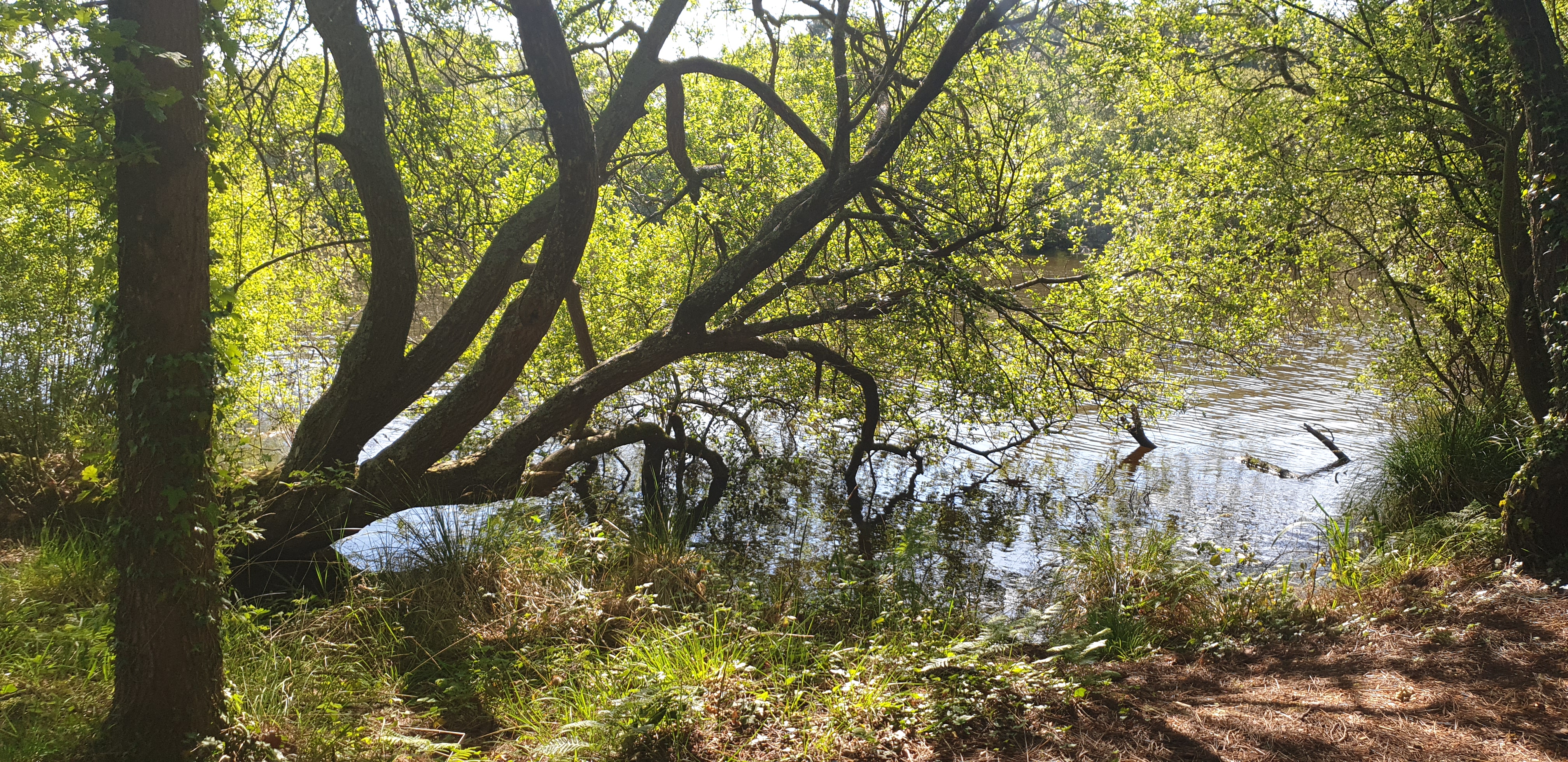 Photo n° 7 de l'avis de Kapoow.K fait le 15/05/2019 à 05:55