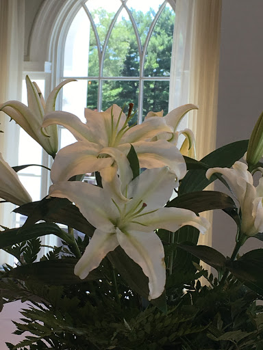 Florist «Newtown Floral Company», reviews and photos, 18 Richboro Newtown Rd, Newtown, PA 18940, USA