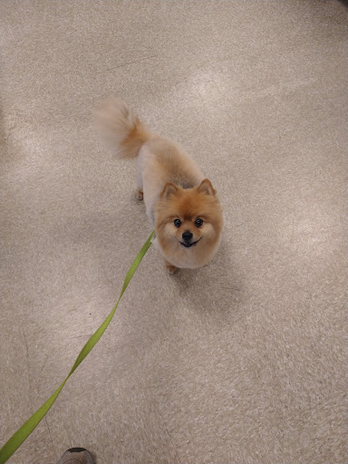 Pet Supply Store «PetSmart», reviews and photos, 400 Mill Creek Dr, Secaucus, NJ 07094, USA