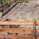 Photo n°8 de l'avis de GRACA.O fait le 28/01/2024 à 19:37 sur le  Herdade do Moinho Novo à Canha