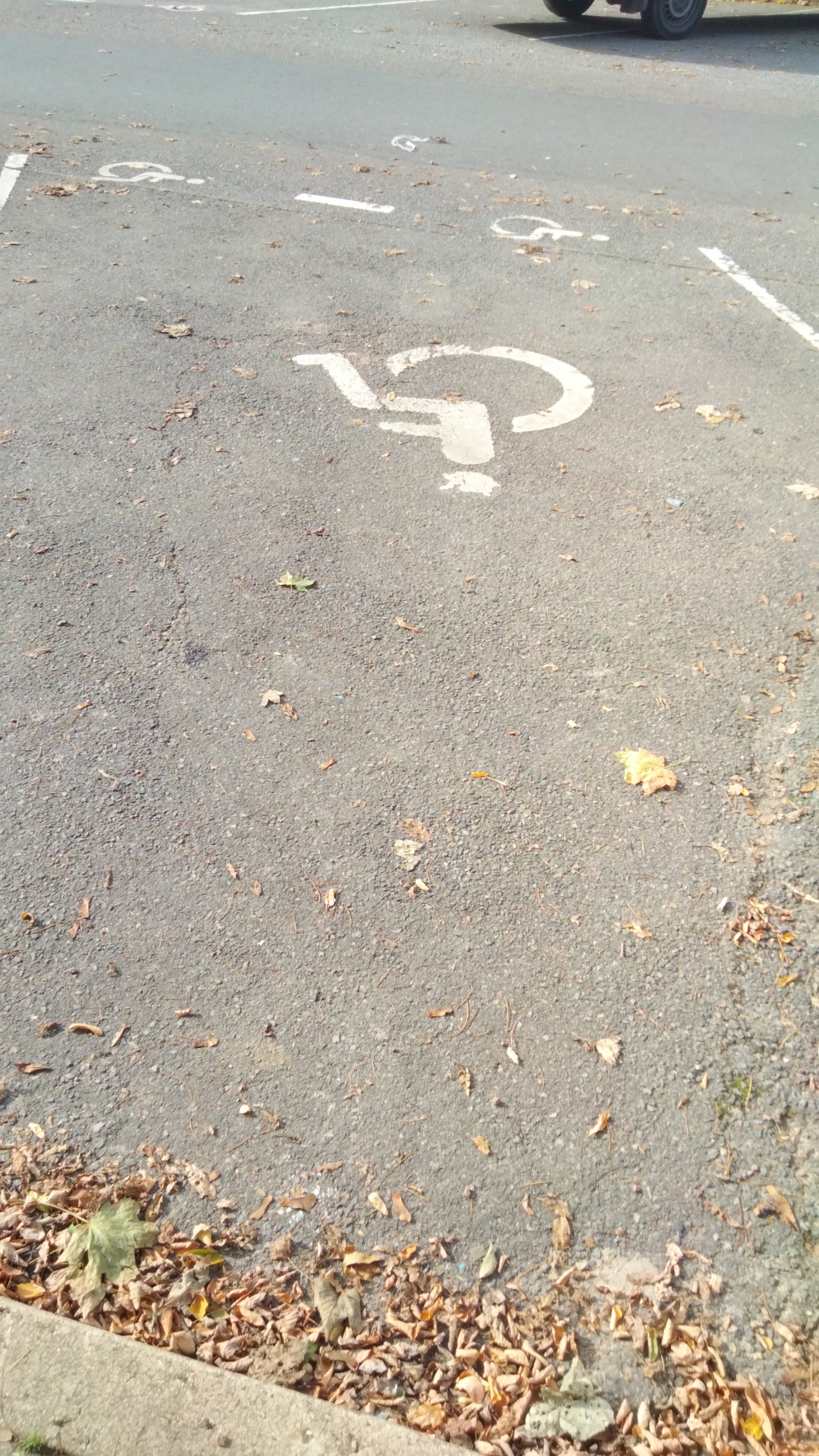 Photo n° 19 de l'avis de Francisco.a fait le 22/10/2022 à 12:01