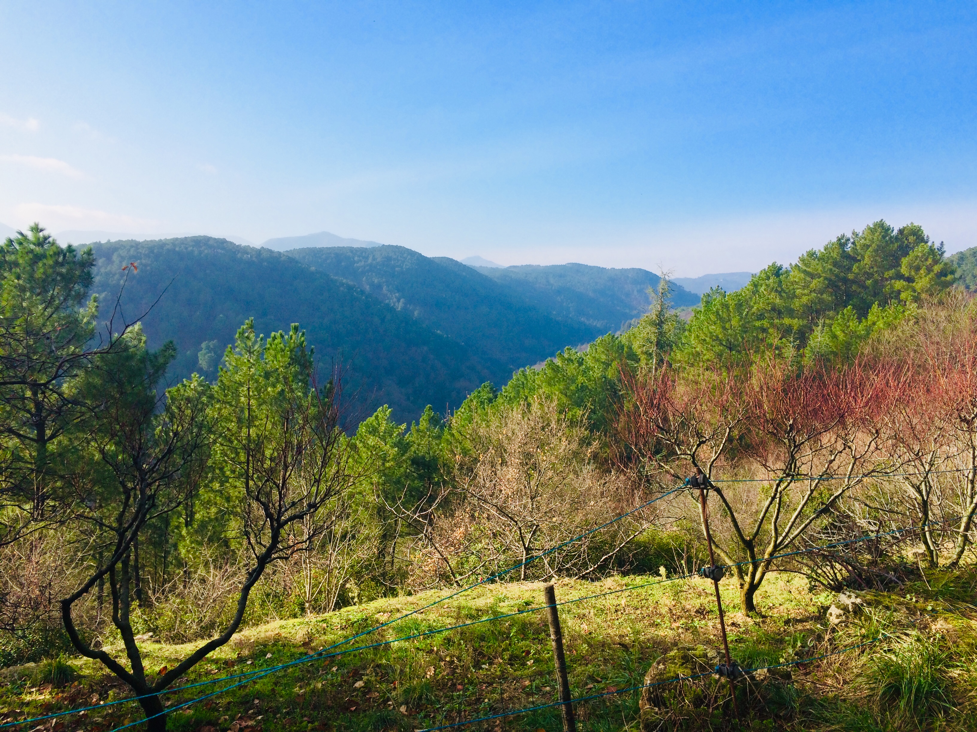 Photo n° 7 de l'avis de HELENE.N fait le 05/01/2019 à 11:51