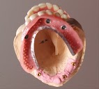 Clínica Arc Dental