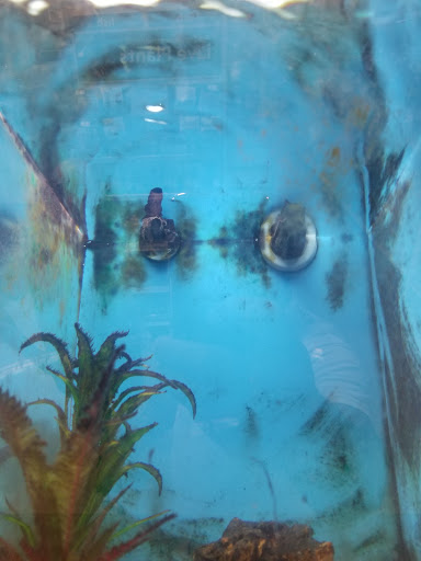 Pet Supply Store «PetSmart», reviews and photos, 2458 Central Park Ave, Yonkers, NY 10710, USA