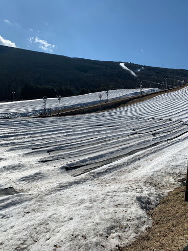 Tourist Attraction «Camelback Snowtubing», reviews and photos, 107 Resort Dr, Tannersville, PA 18372, USA