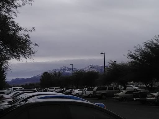 Business Management Consultant «Teleperformance USA», reviews and photos