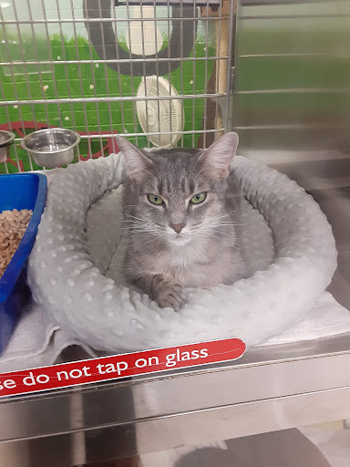 Pet Supply Store «PetSmart», reviews and photos, 30 Malphrus Rd, Bluffton, SC 29910, USA