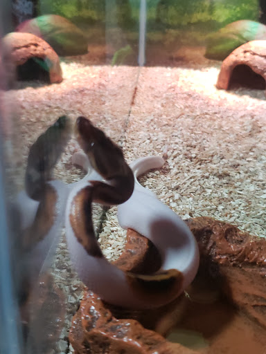 Pet Supply Store «Petco Animal Supplies», reviews and photos, 990 Brook Forest Ave, Shorewood, IL 60431, USA