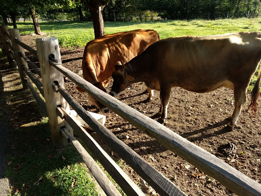 Historical Place «Marsh-Billings-Rockefeller National Historical Park», reviews and photos, 54 Elm St, Woodstock, VT 05091, USA