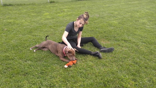 SafeHaven Thrift Store, 33650 OR-99E, Tangent, OR 97389, USA, 