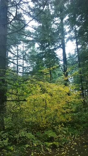 Campground «Camp Dakota», reviews and photos, 1843 Crooked Finger Rd NE, Scotts Mills, OR 97375, USA