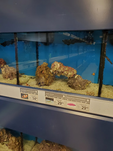 Pet Supply Store «Petco Animal Supplies», reviews and photos, 189 Old Country Rd, Carle Place, NY 11514, USA