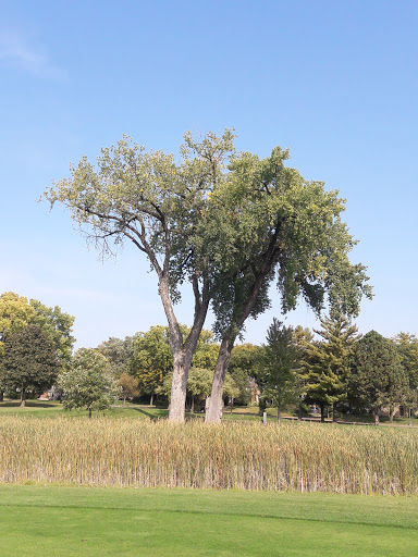 Golf Course «Highland National Golf Course», reviews and photos, 1403 Montreal Avenue, St Paul, MN 55116, USA