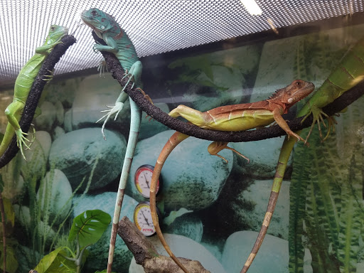 Pet Supply Store «Petco Animal Supplies», reviews and photos, 187 Stonebrook Pl, Jackson, TN 38305, USA