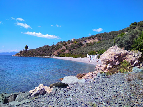 Ilia wild beach photo #4