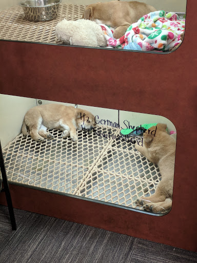 Shopping Mall «Columbia Mall», reviews and photos, 2800 S Columbia Rd, Grand Forks, ND 58201, USA