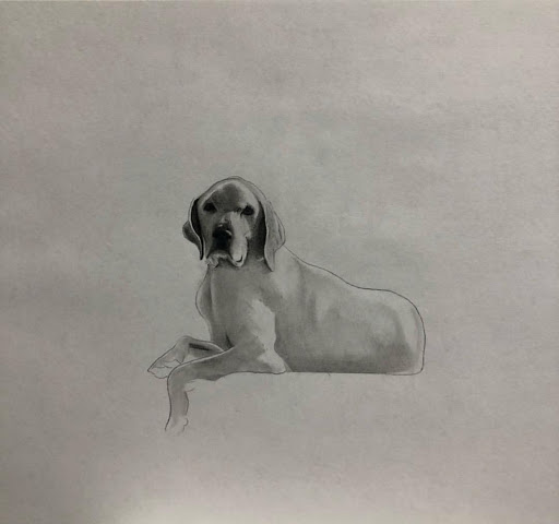 Explore skull tattoo ideas, creative tattoo ideas in San Diego, available at Ink Mindset Studios