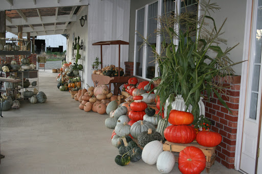 Florist «Greengable Gardens», reviews and photos, 24689 Grange Hall Rd, Philomath, OR 97370, USA