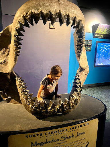 Aquarium «North Carolina Aquarium at Pine Knoll Shores», reviews and photos, 1 Roosevelt Blvd, Pine Knoll Shores, NC 28512, USA