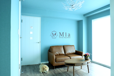 Private Dog Salon Mia / プライベートドッグサロンミーア