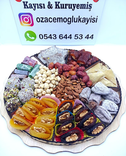 Öz Acemoğlu Kayisi & Kuruyemiş