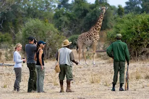 African Budget Safaris image
