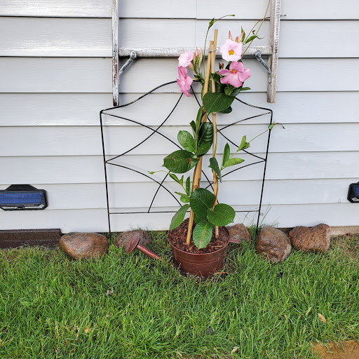 Garden Center «Lilydale Garden Center», reviews and photos, 941 Sibley Memorial Hwy, St Paul, MN 55118, USA