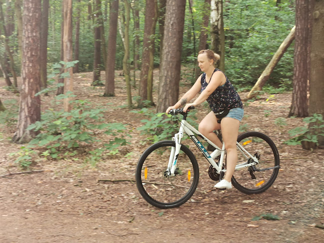 Opinie o Speed Bike - Sklep i Serwis Rowerowy Żory w Rybnik - Sklep rowerowy
