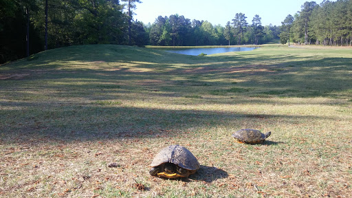 Golf Course «Falls Village Golf Course», reviews and photos, 115 Falls Village Dr, Durham, NC 27703, USA