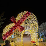 Photo n°1 de l'avis de Claudio. fait le 28/10/2022 à 22:51 sur le  Trattoria Guiduccio à Cerveteri