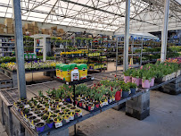 Lowe's Home Improvement - Photo 4 - Car repair in Harrisburg, PA, Harrisburg