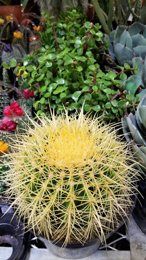 Home Improvement Store «The Home Depot», reviews and photos, 393 S Hover Rd, Longmont, CO 80501, USA