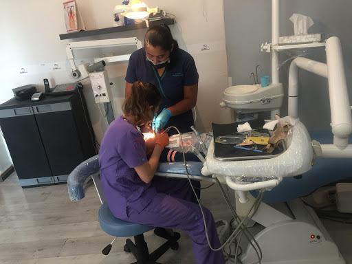 Lumy Dental Querétaro Centro sur