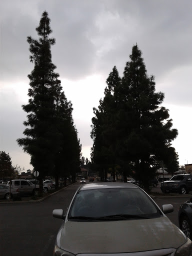 Thrift Store «Goodwill - Rialto», reviews and photos, 231 E Baseline Rd, Rialto, CA 92376, USA