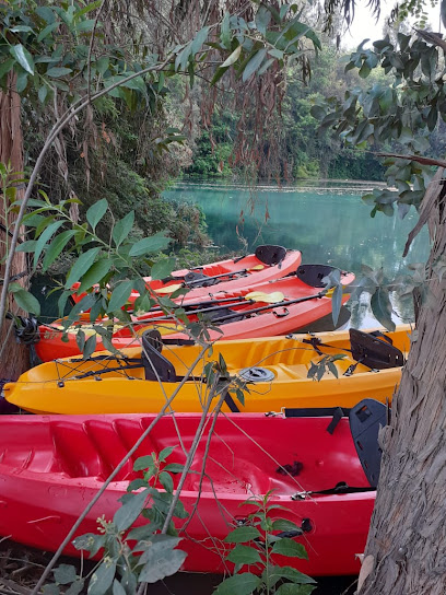 Servicio de alquiler de kayaks y canoas