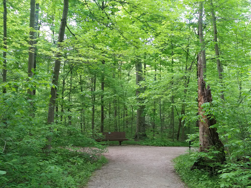 Park «Blacklick Woods Metro Park», reviews and photos, 6975 East Livingston Avenue, Reynoldsburg, OH 43068, USA