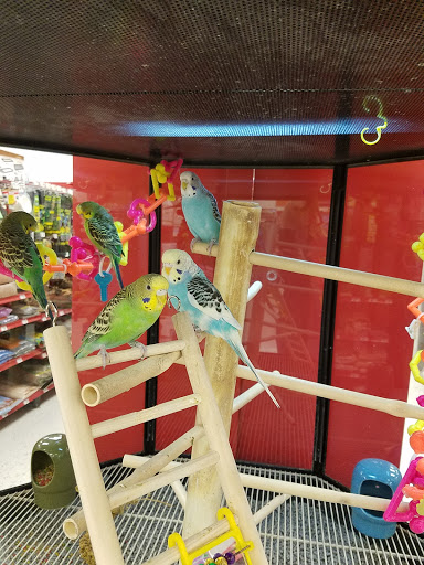 Pet Supply Store «Petco Animal Supplies», reviews and photos, 1951 N Military Trl c, West Palm Beach, FL 33409, USA