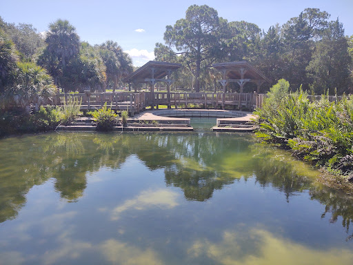 Park «Wall Springs Park», reviews and photos, 3725 Desoto Blvd, Palm Harbor, FL 34683, USA